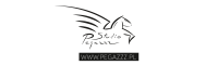 PEGAZZZ STUDIO